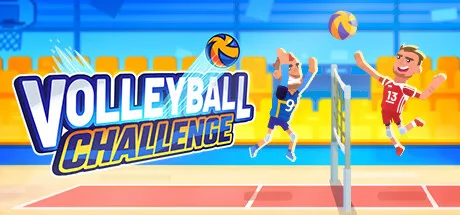 Volleyball Challenge
